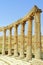 Columns from the oval forum in Jerash, Jordan