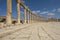 Columns of the Oval Plaza in Jerash, Jordan