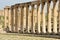 Columns of ruined Greco-Roman city of Gerasa