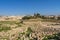 Columns and Ruins of Jerash City in Jordan