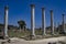 Columns of salamis ancient city north cyprus