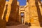 Columns and statues of the Temple of Kom Ombo under the sunlight in Egypt