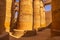 Columns and statues of the Temple of Kom Ombo under the sunlight in Egypt