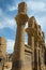 Columns in the Temple of Philae, Temple of Isis