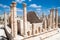 Columns of the temple of Zeus in Jerash