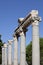 Columns in The Tetragonos Agora