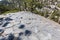 Colunmar Basalt at Devil`s Postpile National Monument