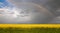 Colza Seeds. Oil. Spring. Field. Stormy Sky