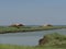 Comacchio Lagoons boat trip