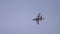 Combat Aircraft Panavia Tornado Overflight