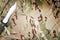 Combat knife on military camouflage fabric background