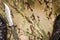 Combat knife and shoes on military camouflage fabric background
