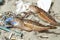 Comber perch fish dead eating plastic rubber disposal glove trash on a debris contaminated sea habitat.Nature pollution