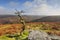 Combestone Tor Dartmoor