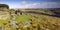 Combestone Tor Dartmoor