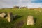 Combestone Tor, Dartmoor