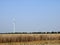 Combination of agricultural and wind farm