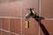 A combination lock on the end of an outdoor water faucet atached to a red grid tiled wall