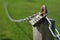 Combination lock secures a chain attached to a wooden post