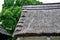 Combination of thatched and shingled roof. In the shade or in a rainy climate, it is covered with moss and gradually degrades and