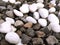 a combination of white coral and pebbles