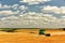 Combine harvest in the golden field of wheat. Golden field with ears of grain crops and a beautiful sky in the clouds.