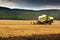 Combine harvested wheat