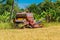 Combine harvester in action on rice field. Harvesting is the process of gathering a ripe crop from the fields