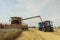 Combine harvester agriculture machine harvesting golden ripe wheat field. Harvester combine harvesting wheat and pouring