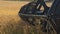 Combine harvester blades threshing wheat field