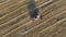 Combine Harvester Collect Grain Cereals In Agricultural Field Aerial Top View