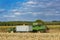 Combine harvester corn and discharge it into the trailer