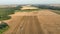 Combine harvester drone aerial view during harvesting harvest tractor of cereals wheat cuts crop Triticum aestivum field