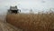 Combine harvester gathering maize corn