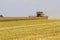 Combine harvester harvesting oil seed