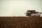 Combine harvester harvesting ripe sunflower at sunset