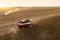 Combine harvester harvesting sunflower field