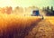 Combine harvester harvesting wheat field