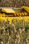 Combine harvester harvests corn in the field of a farm