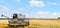 Combine harvester harvests golden wheat. Wide photo