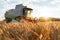 Combine harvester harvests ripe wheat. agriculture image