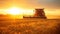 Combine harvester harvests wheat in field at sunset, tractor cutting rape grain on farm. View of machine working in field, sun and