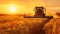 Combine harvester harvests wheat in summer, tractor cutting rape grain on farm at sunset. View of machine working in field, sky