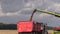 Combine harvester load wheat cereal into truck trailer