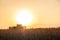 Combine harvester machine working in corn field at sunset. Multi