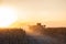 Combine harvester machine working in corn field at sunset. Multi