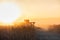 Combine harvester machine working in corn field at sunset. Multi