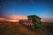 Combine harvester machine working in a wheat field, sunset and s