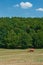 Combine harvester on meadow 2