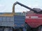 Combine harvester pours oast seeds in field